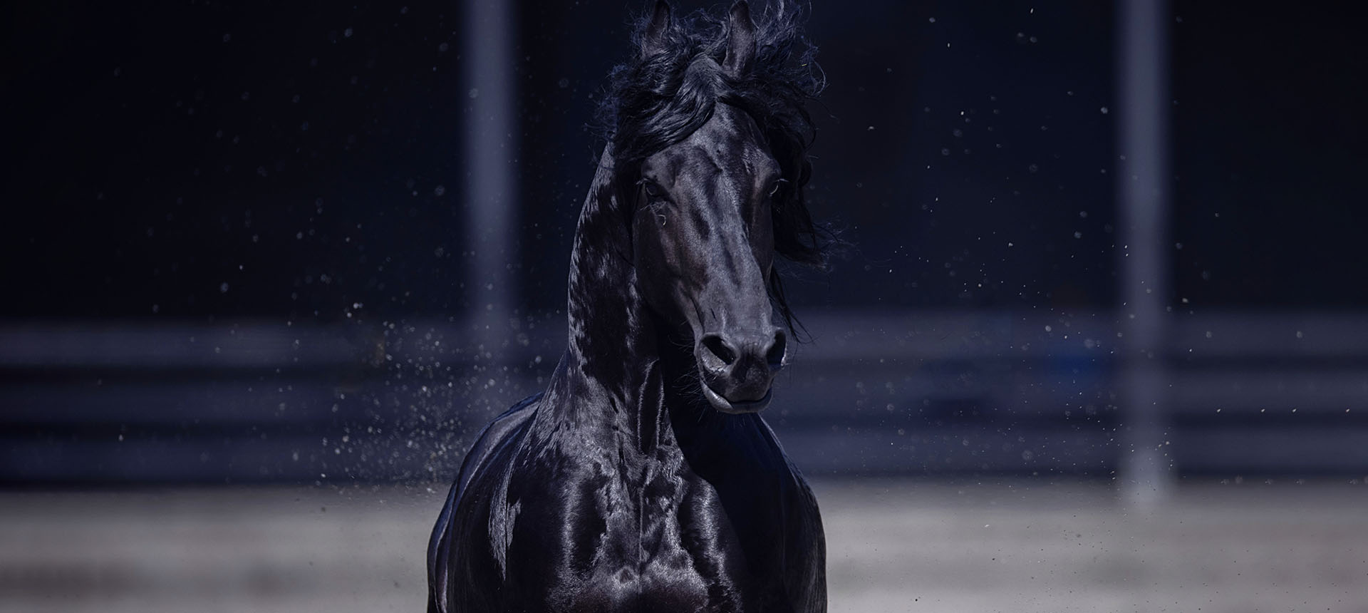 �й���Ѫ������