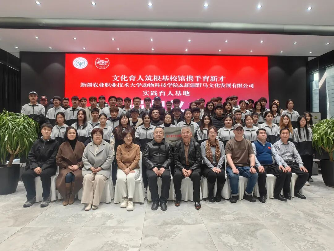 BB电子·(china)官方网站