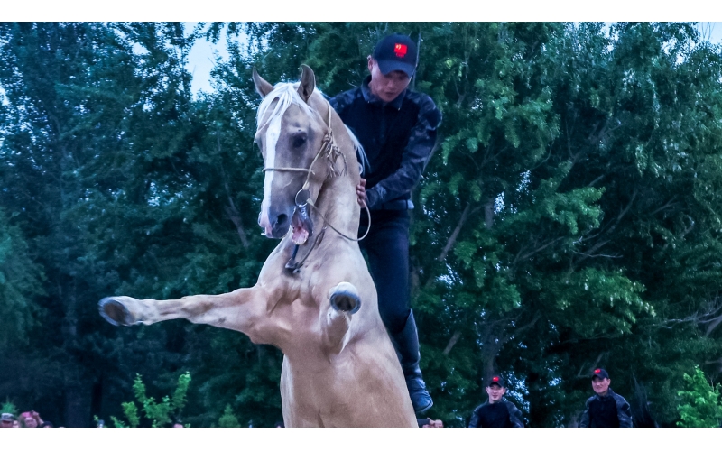 ������185��Ѳ��