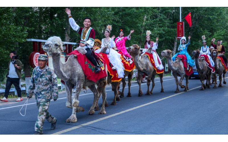 ������185��Ѳ��