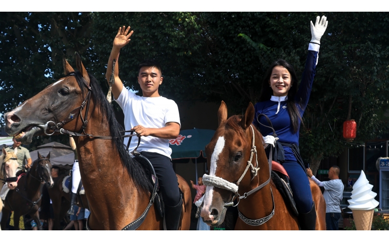 ��������ػλδ�