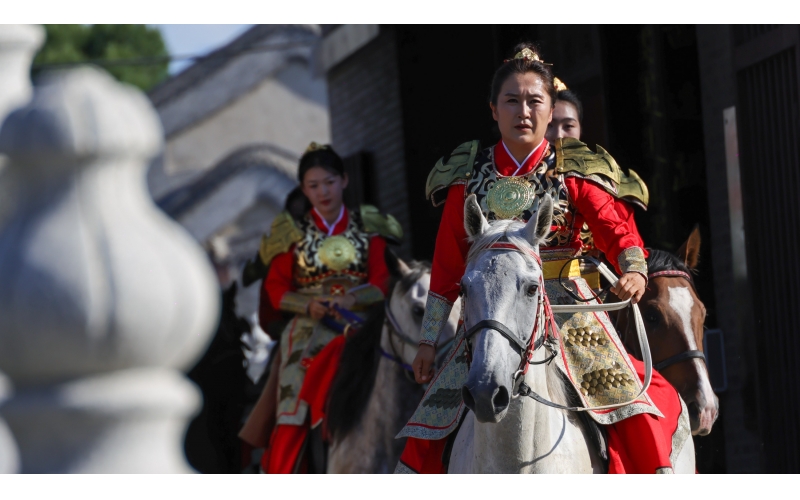 �����ݲ첼�����Ѳ��