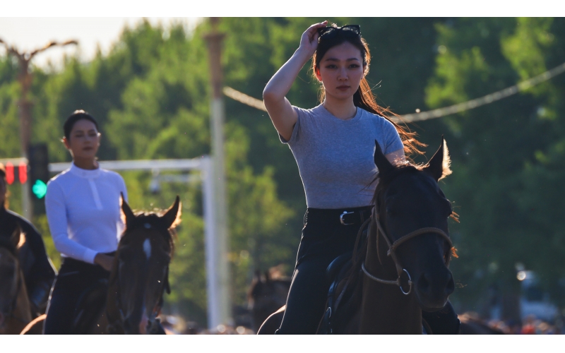 ����Ѳ��