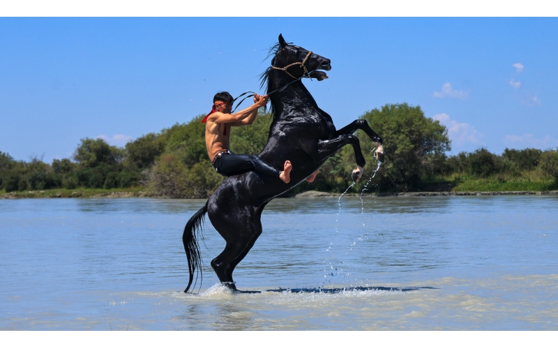 ����ԡ��